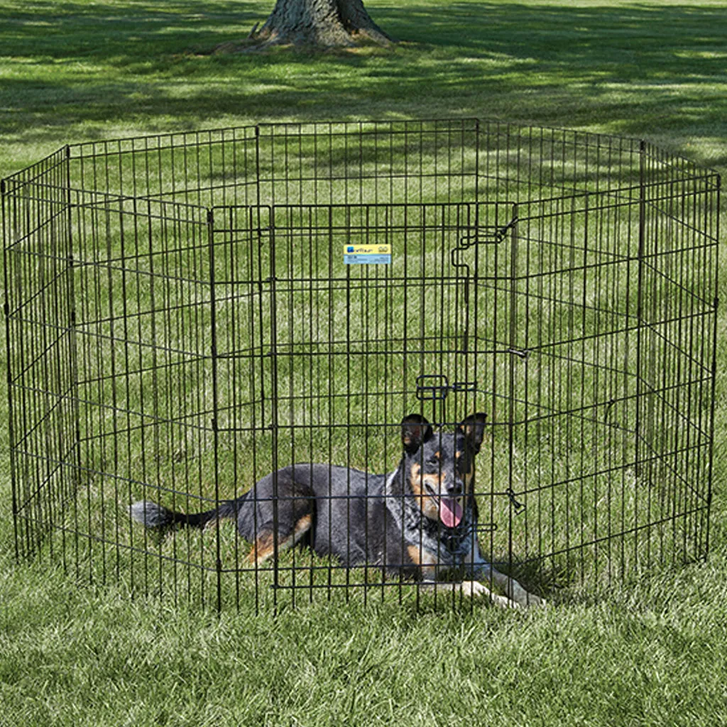 Contour Exercise Pen